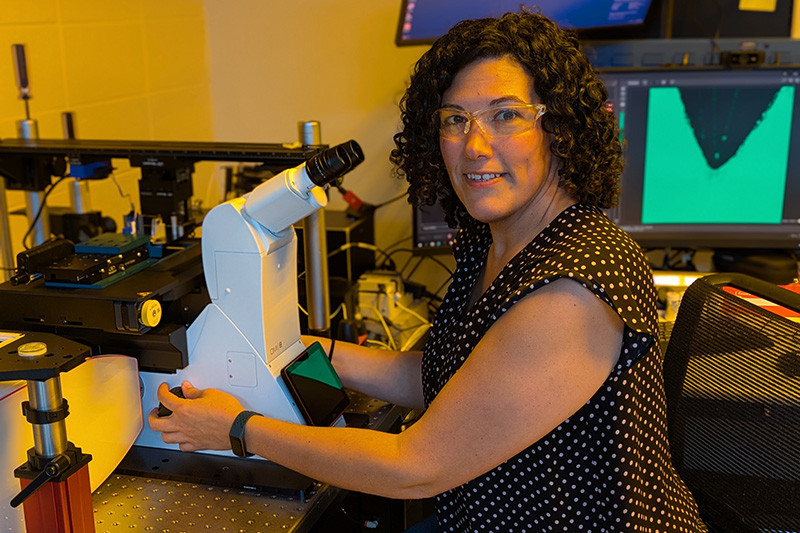 Measuring the forces that hold plant cells together